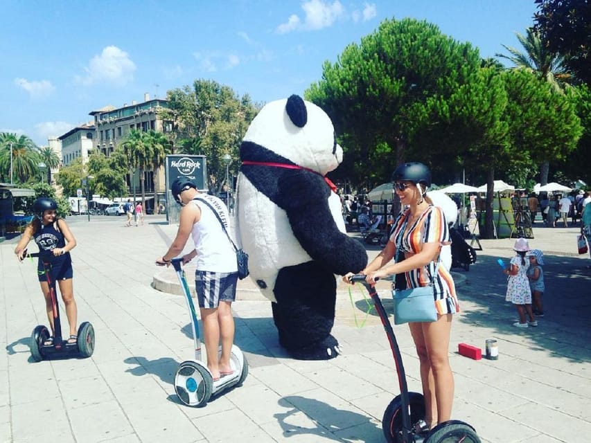 1 Hour Segway tour in Palma de Mallorca - Practical details that affect your choice