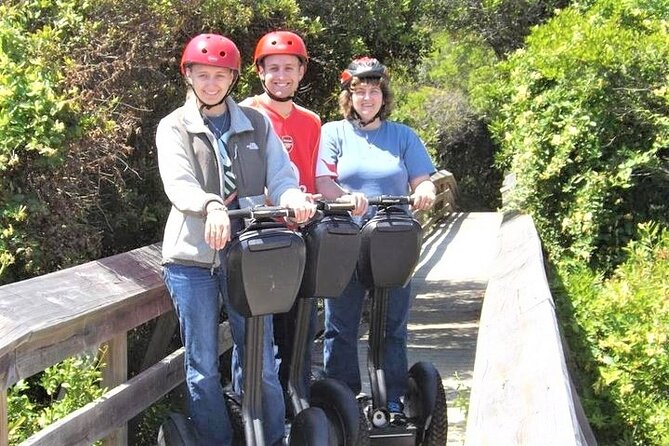 2-Hour Guided Segway Tour of Huntington Beach State Park in Myrtle Beach - The Environmental Education Center and loggerhead turtles