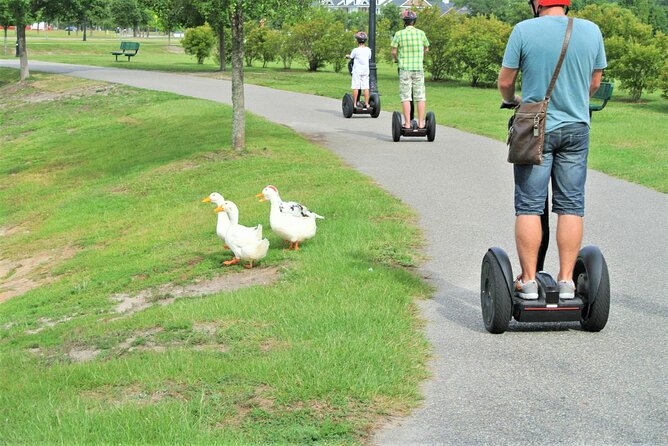 2-Hour Guided Segway Tour of Huntington Beach State Park in Myrtle Beach - What the small group changes
