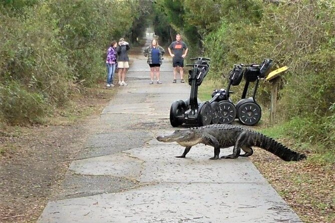 2-Hour Guided Segway Tour of Huntington Beach State Park in Myrtle Beach - Is $69 a fair price?