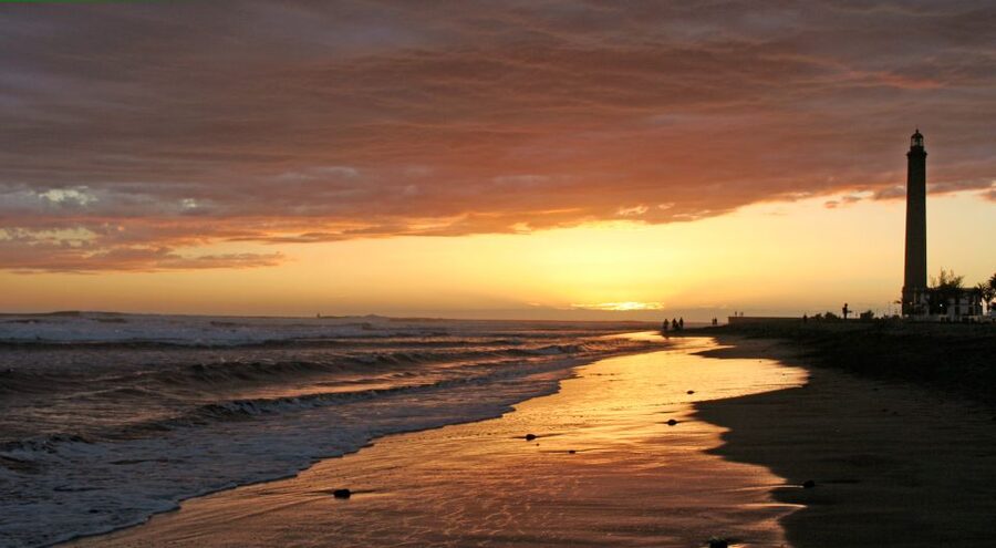 2-Hour Segway Tour: Maspalomas Dunes, Playa Ingles,S.Agustin - Starting at Bici Bike Vintage in the Cita Center