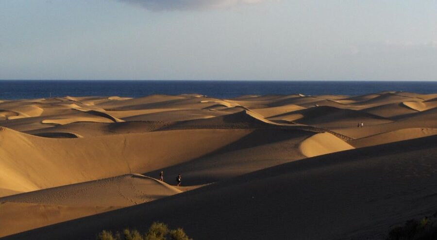 2-Hour Segway Tour: Maspalomas Dunes, Playa Ingles,S.Agustin - The drink or ice cream stop