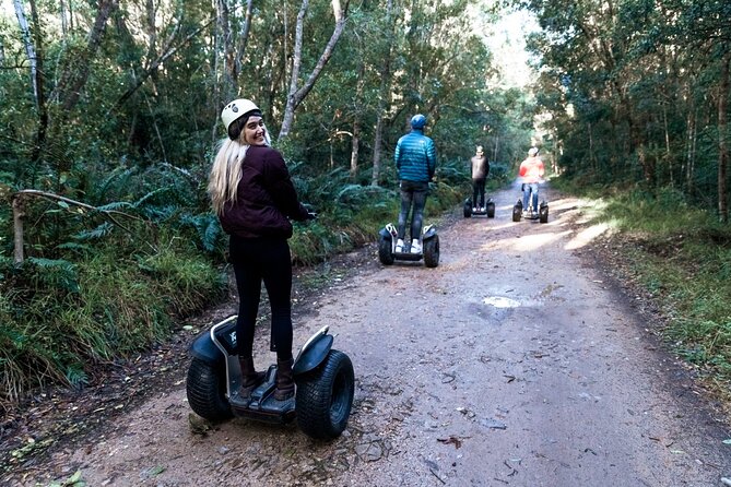 2 Hours Segway Experience in Stormsriver Village - Entering the Ancient Tsitsikamma Forest