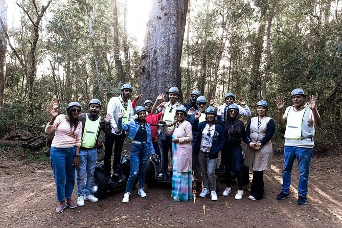 2 Hours Segway Experience in Stormsriver Village - Seeing the 1,000-Year-Old Tsitsikamma Big Tree