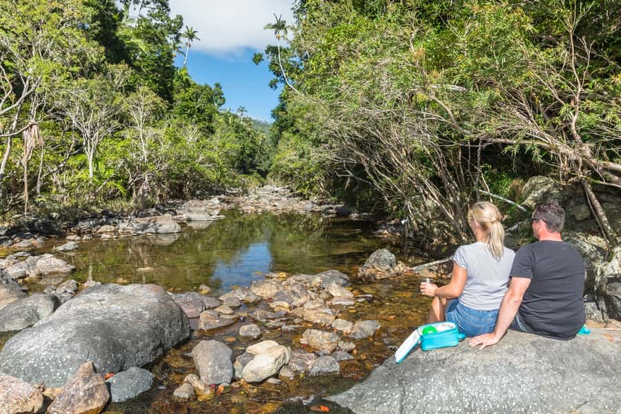 Airlie Beach: Segway Rainforest Discovery Tour - Key points to know before booking