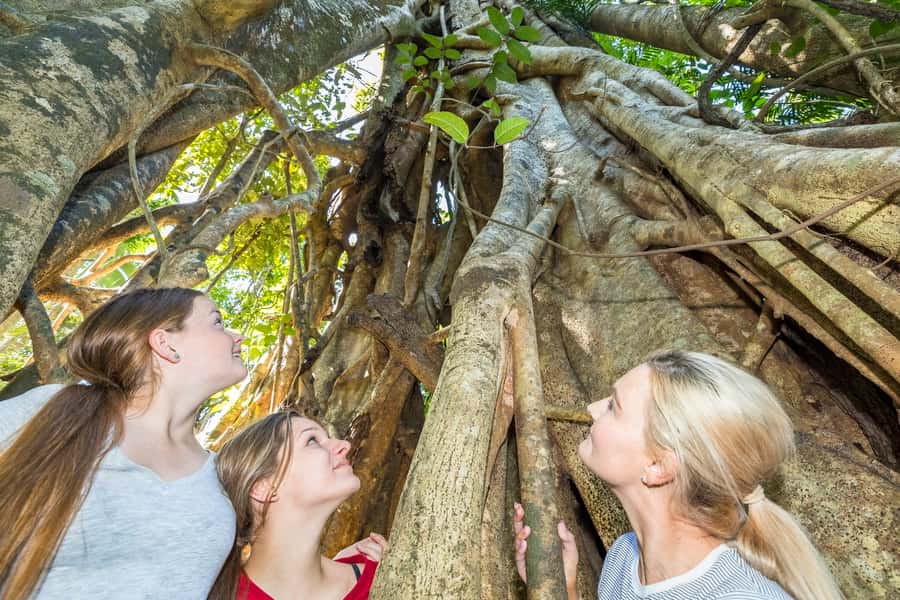 Airlie Beach: Segway Rainforest Discovery Tour - Learning to ride before the rainforest begins