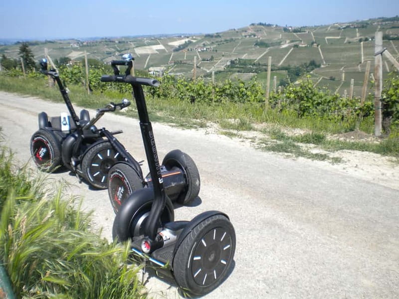 Alba: Guided Segway Tour through Langhe Hills and Vineyards - Who will enjoy this ride most?