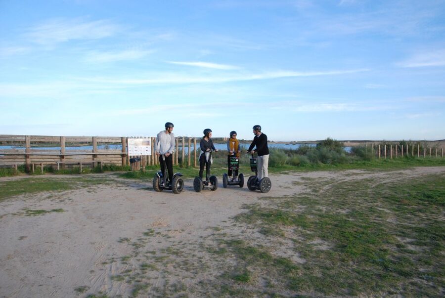 Albufeira: Salgados Nature Reserve Segway Tour - Looking for birds and seasonal food