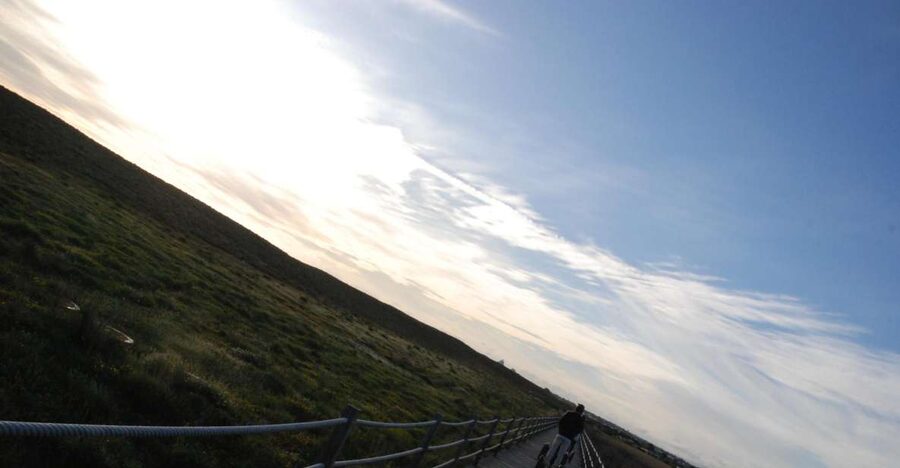 Albufeira: Salgados Nature Reserve Segway Tour - From marsh trails to the Atlantic