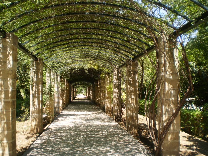 Athens: National Garden 2-Hour Segway Tour - Why a Segway works well in central Athens