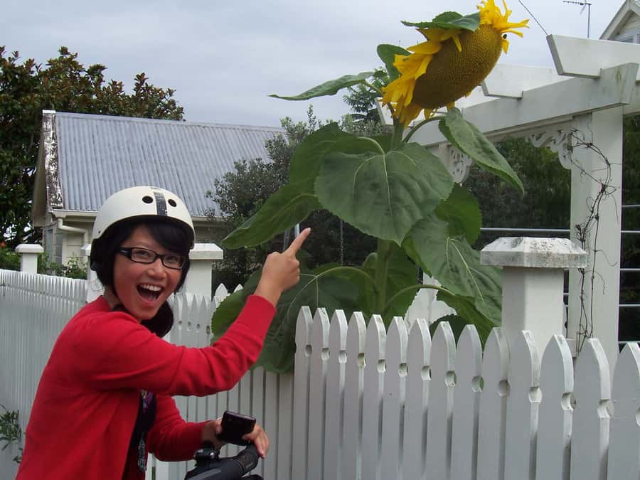 Auckland: Devonport Village Segway Tour - Devonport waterfront, lava flows, and old village streets