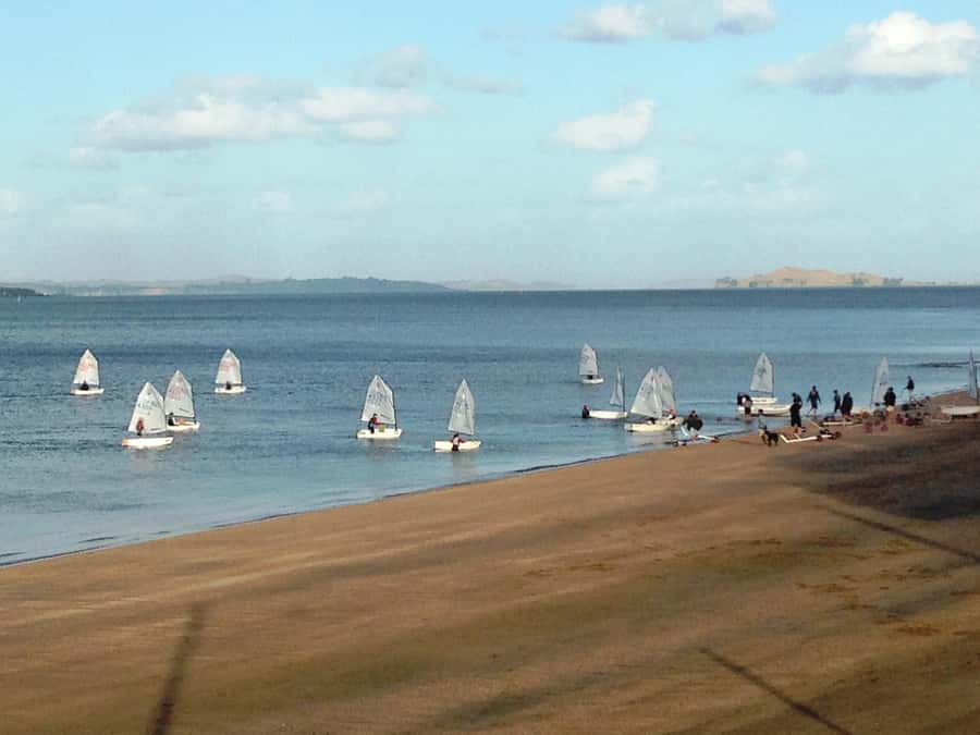 Auckland: Devonport Waterfront Segway - Who should book this Devonport ride