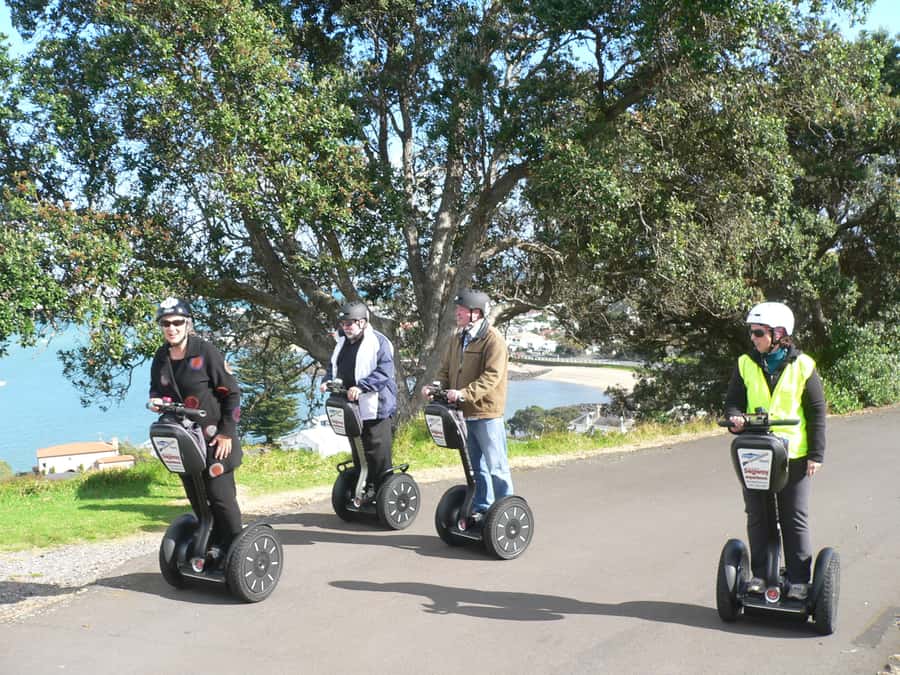 Auckland: Segway to North Head Volcano Summit - Value, timing, and who should book