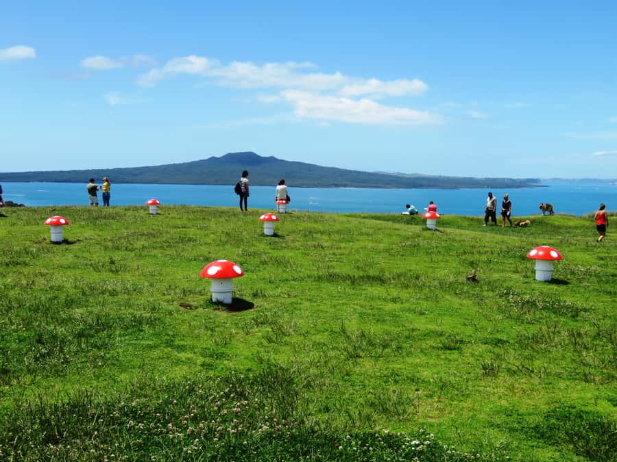 Auckland: Segway Tour to Mount Victoria - Key points to know before you book