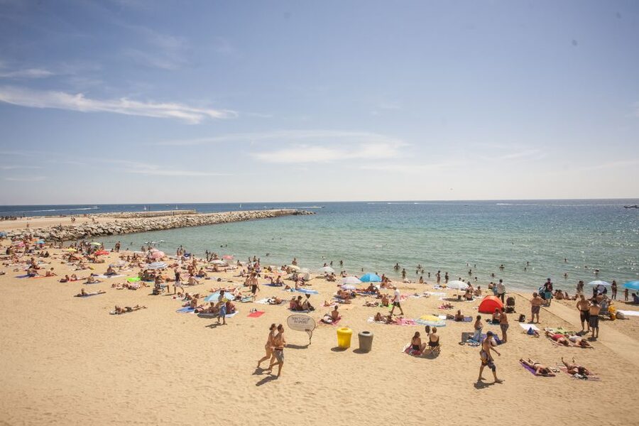 Barcelona: 2-Hour City Sights Guided Segway Tour - Ciutadella Park and Arc de Triomf