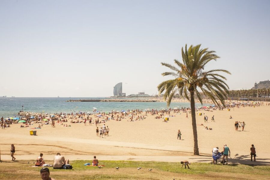 Barcelona: 3-Hour Segway Sightseeing Tour - Beaches from Nova Icària to Llevant