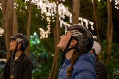 Brisbane Segway Sightseeing Tour