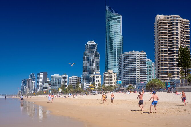 Brisbane Segway Sightseeing Tour - The Botanic Gardens and the night-time option