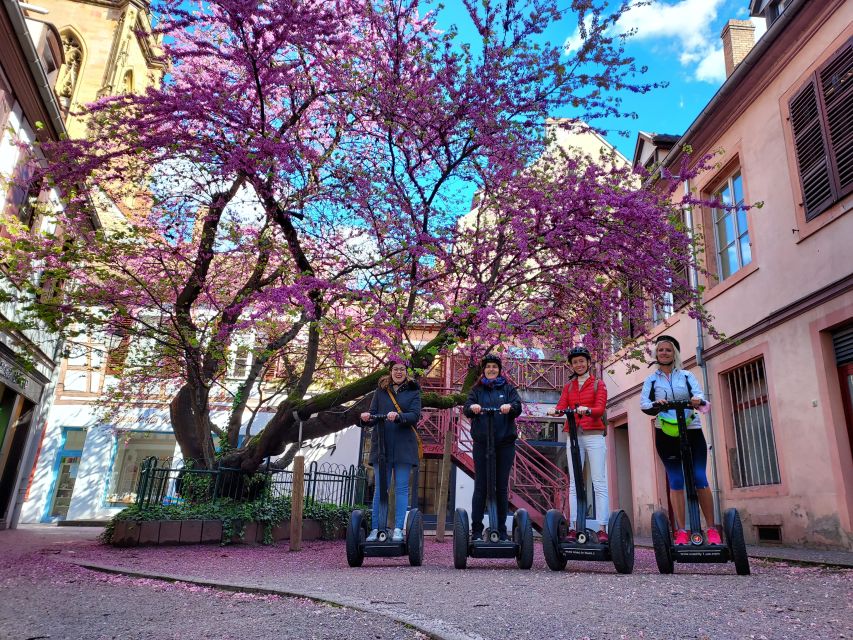 Colmar: 2-Hour Segway Tour - The Quartier des Maraichers and the three rivers