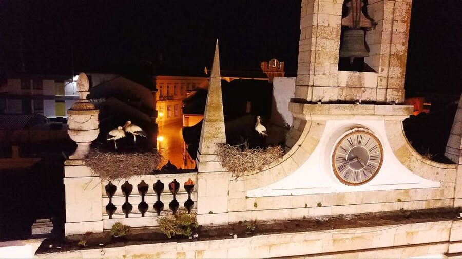 Faro: Night Segway Tour with Cocktails - Key points at a glance
