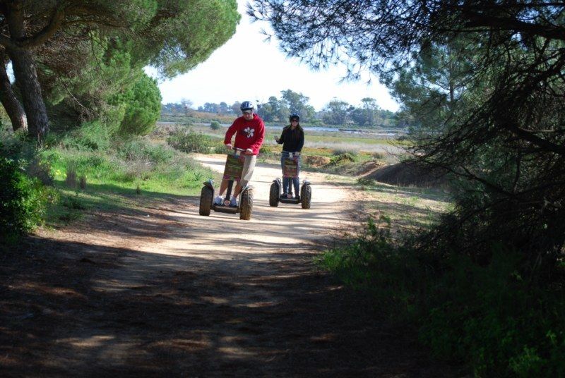 Faro: Ria Formosa Natural Park Segway Tour & Birdwatching - Key points to know before you book
