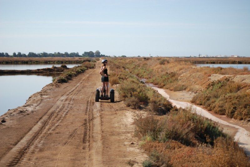 Faro: Ria Formosa Natural Park Segway Tour & Birdwatching - Salt ponds, plants, and the human side of the reserve