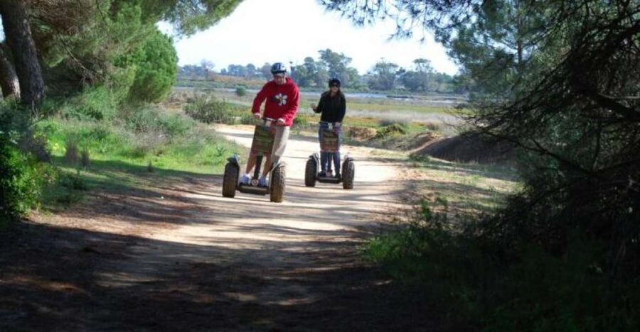 Faro: Ria Formosa Natural Park Segway Tour & Birdwatching - How the guide shapes the experience
