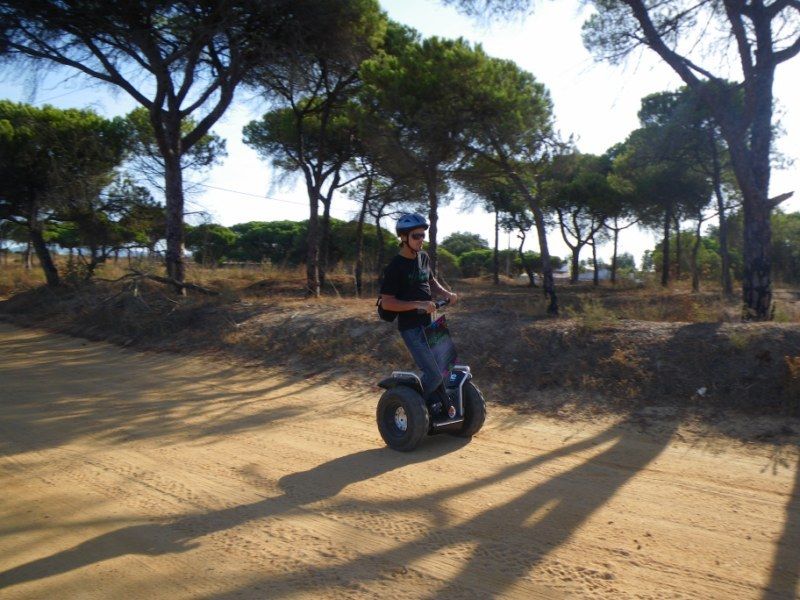 Faro: Ria Formosa Natural Park Segway Tour & Birdwatching - Is $66 good value for 1.5 hours?