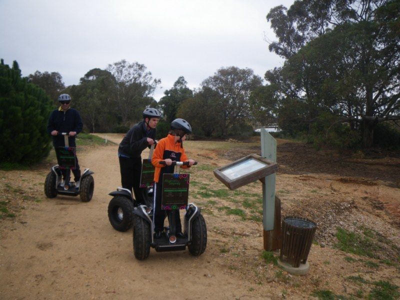 Faro: Ria Formosa Natural Park Segway Tour & Birdwatching - Who will enjoy this tour most?