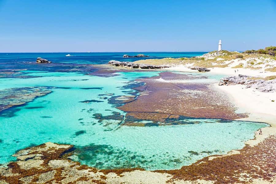 From Perth or Fremantle: Rottnest Explorer Segway Tour - Coastal paths, bays, and Kingstown Barracks