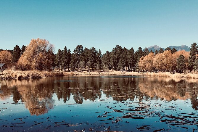 Fun Flagstaff History Segway Tour - Value, group size, and the one real drawback