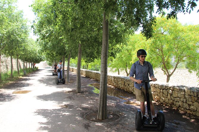 Fun Private Segway Tour in Valencia - Is $42.33 a fair price?