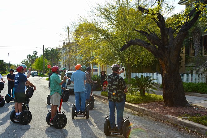 Galveston Tree Carvings Segway Tour - Who will enjoy this most