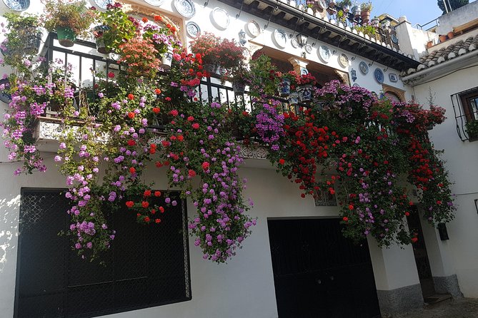 Granada Segway Tour to Albaicin and Sacromonte - What the ride feels like for families and mixed-age groups