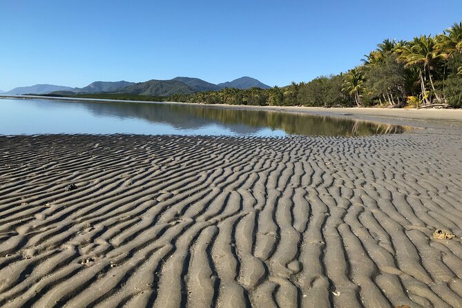 Guided Eco Segway Tours Four Mile Beach Port Douglas - Should You Book Port Douglas Eco Segway Tours?