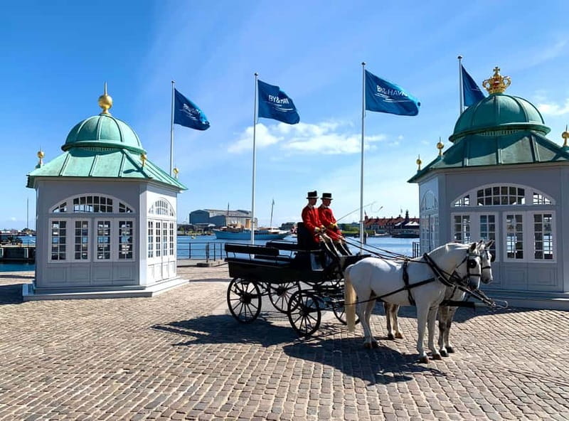 Guided SegwayTour of Copenhagen - 1 hour guided Tour - Nyhavn, the waterfront, and the winter route
