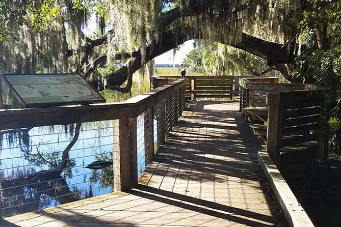 Hilton Head Segway Eco Fun Ride (90 minutes) - Who will enjoy the ride most
