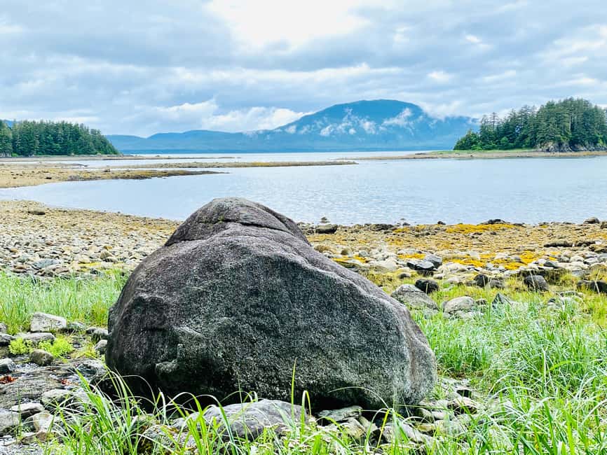 Juneau: Rainforest Photo Safari on a Segway - Old-growth rainforest, native plants, and wildlife
