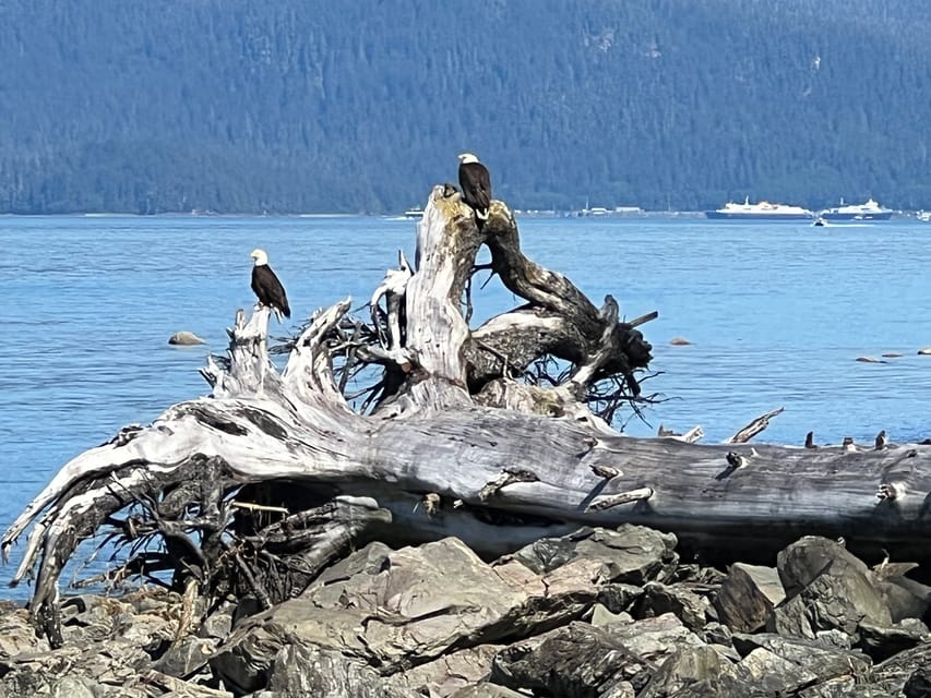 Juneau: Rainforest Photo Safari on a Segway - How much riding and walking should you expect?