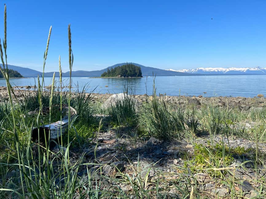 Juneau: Rainforest Photo Safari on a Segway - Is $164 a fair price for three hours?