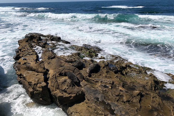 La Jolla Segway Tour - La Jolla Village, boutiques, art, and grand homes