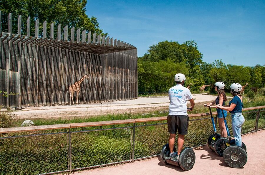 Lyon: City Segway Tour with a Local Guide - Finishing at Place des Terreaux
