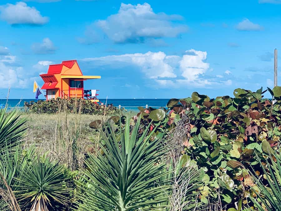 Miami Beach: 1-Hour Segway Glide - Shoreline views and Miami’s skyline