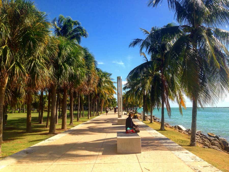 Miami Beach: 1-Hour Segway Glide - What $41 buys you