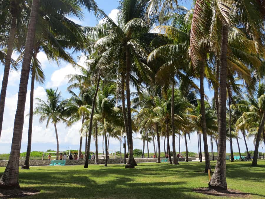 Miami Beach: 1-Hour Segway Glide - Tips for a smoother ride