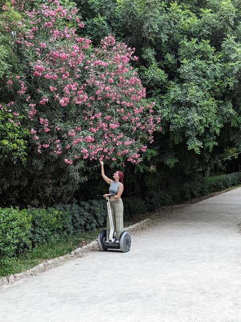 Modern Athens Segway Tour - A quieter glide through the National Garden
