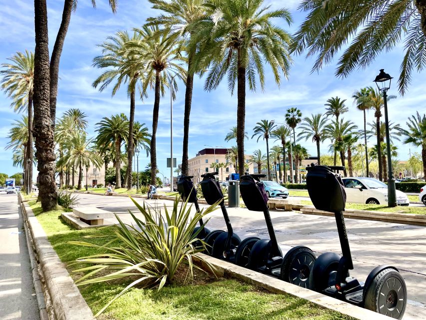Palma: Private Guided Segway Tour - The marina and Palma’s waterfront