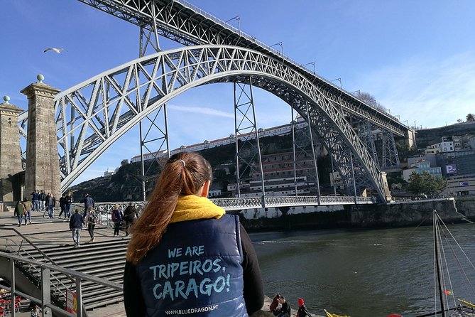 Porto: 2-Hour City Highlights Segway Tour - Guided Experience - Liberdade Square, Praça dos Leões, and the city center