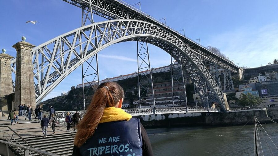 Porto: City Highlights Guided Segway Tour - Key points to know before booking