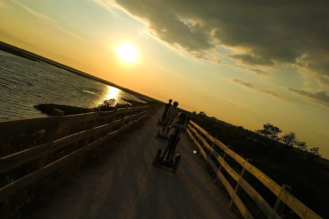 Ria Formosa Natural Park Birdwatching Segway Tour from Faro - Ludo is the birdwatching focus